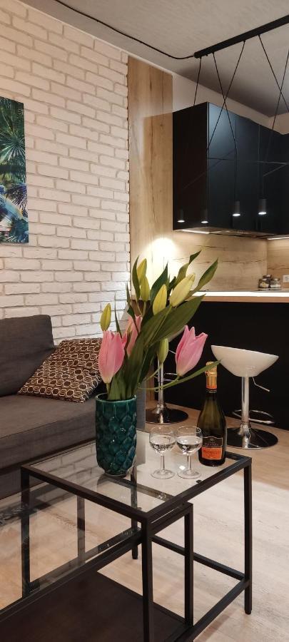 Be My Guest- Fontany Luxury Apartment Metro Wi-Fi Free Parking Zone وارسو المظهر الخارجي الصورة